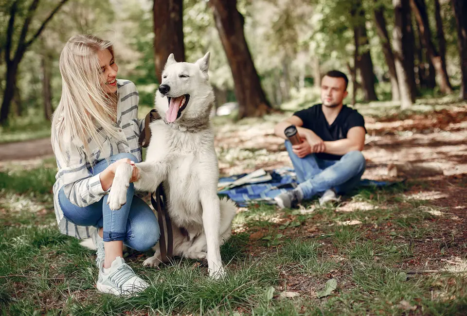 Frau gibt weißem Hund die Pfote, Mann sitzt dahinter im Park mit Thermobecher