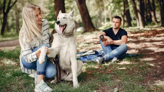 Frau gibt weißem Hund die Pfote, Mann sitzt dahinter im Park mit Thermobecher
