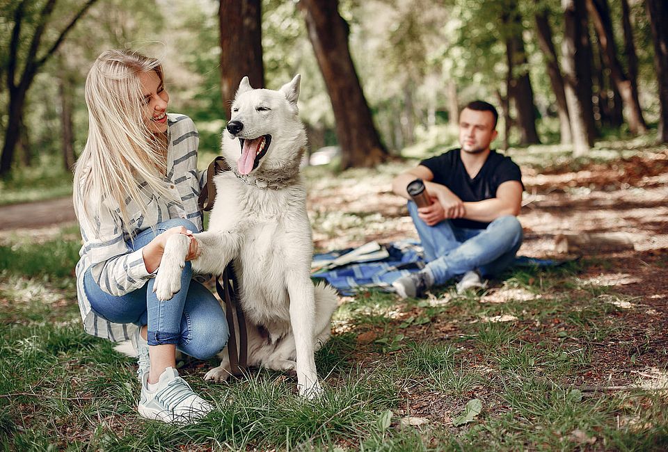 Frau gibt weißem Hund die Pfote, Mann sitzt dahinter im Park mit Thermobecher