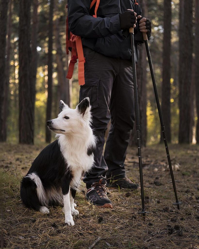 Wandern, spielen, entdecken Wandern, spielen, entdecken