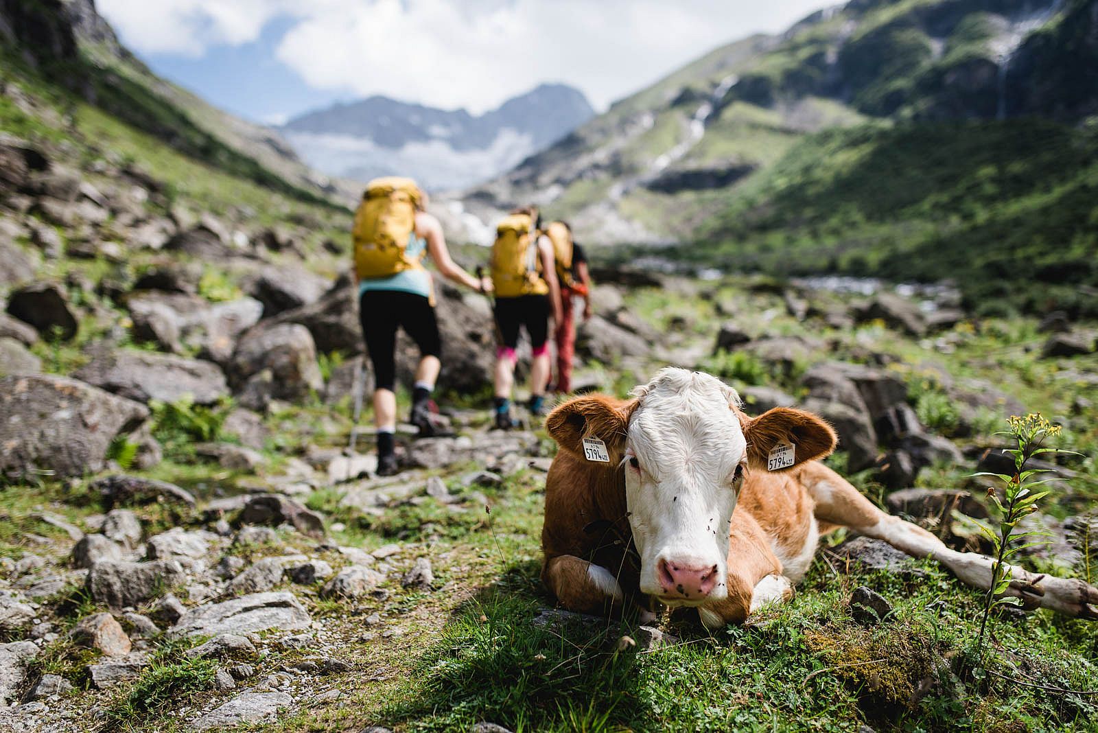 Gruppenreisen Gruppenreisen